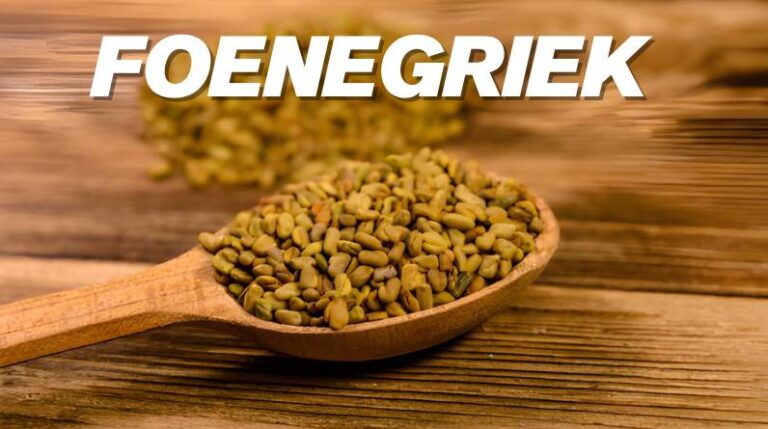 foenegriek